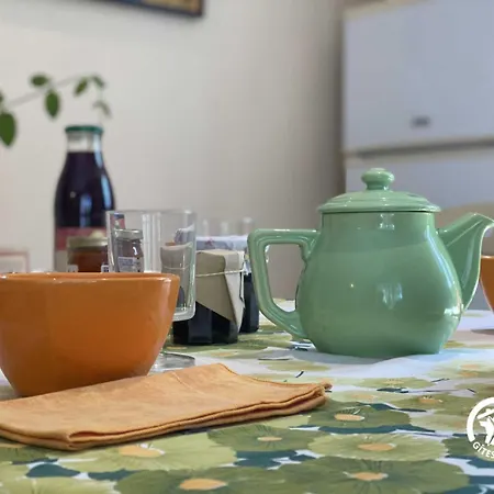 Le Cedre Du Parc De La Dame