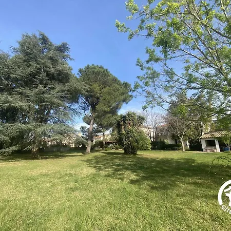 Le Cedre Du Parc De La Dame *